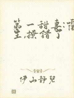 第一甜妻:霍先生,撩错了