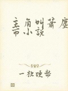 主角叫萧尘的都市小说