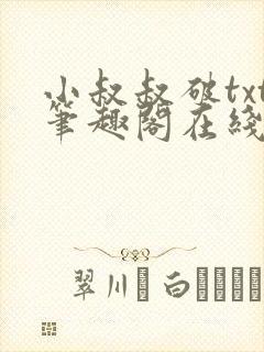 小叔叔破txt笔趣阁在线阅读