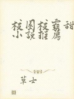 校园校霸甜宠文小说推荐