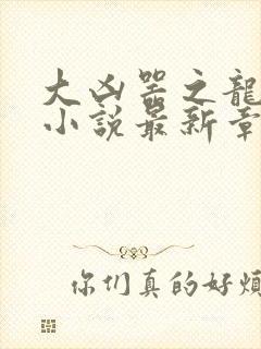 大凶器之龙傻子小说最新章节免费阅读