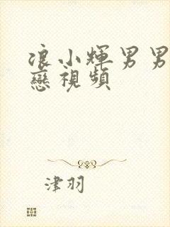 浪小辉男男同性恋视频封面