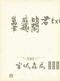 万历明君txt笔趣阁