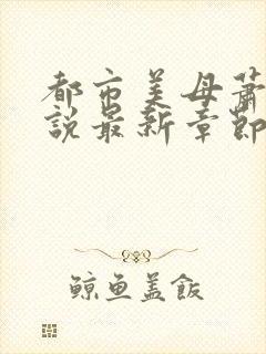 都市美母萧雅小说最新章节阅读