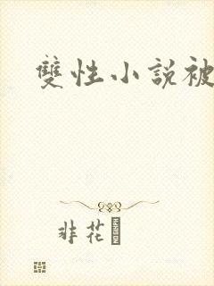 双性小说被一群封面