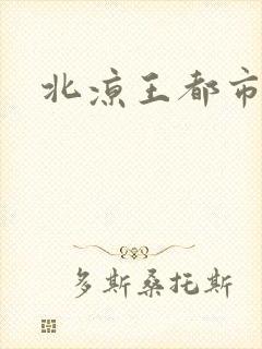 北凉王都市小说