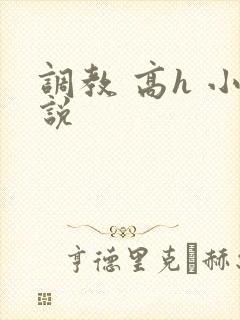 调教 高h 小说