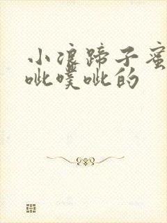 小浪蹄子蜜水噗呲噗呲的