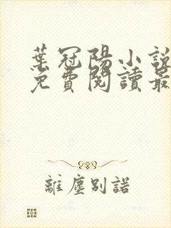 叶冠阳小说全文免费阅读最新章节