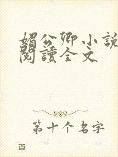 媚公卿小说免费阅读全文封面