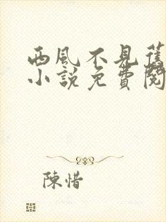 西风不见旧时景小说免费阅读全文