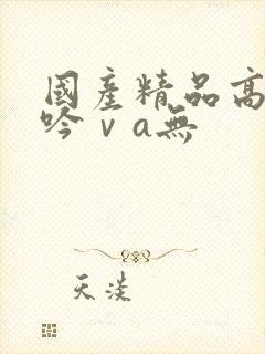 国产精品高潮呻吟ⅴa无