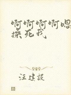 啊啊啊啊嗯嗯嗯操死我封面