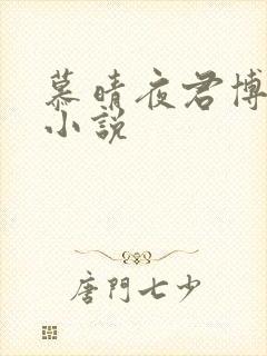 慕晴夜君博最新小说