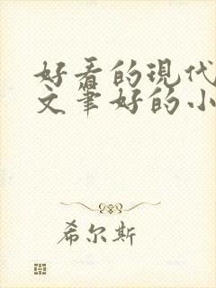 好看的现代言情文笔好的小说