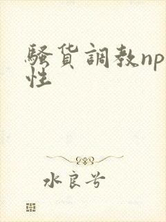 骚货调教np双性