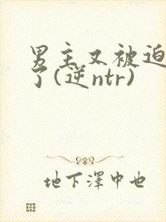 男主又被迫出轨了(逆ntr)