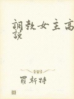 调教女主高h小说封面