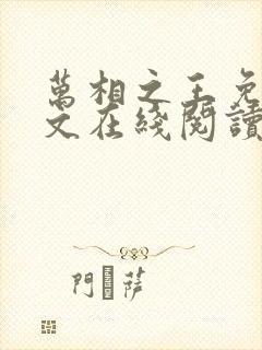 万相之王免费全文在线阅读封面