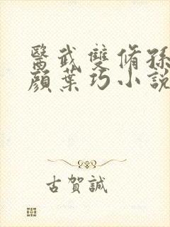 医武双修孙哲朱颜叶巧小说