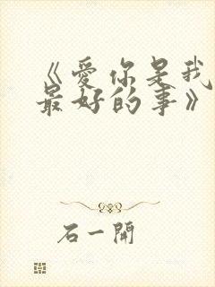 《爱你是我做过最好的事》小说