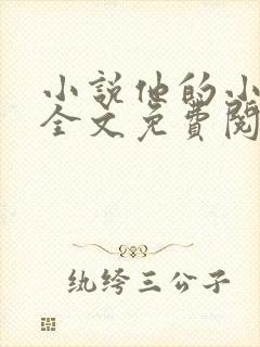 小说他的小仙女全文免费阅读封面