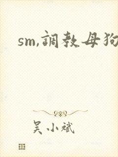 sm,调教母狗
