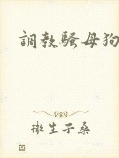 调教骚母狗m