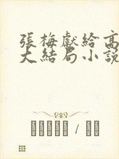 张梅献给高书记大结局小说免费阅读封面