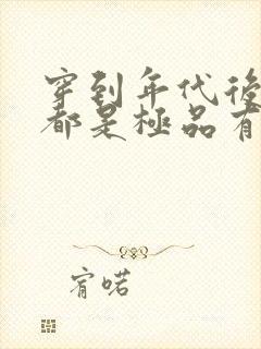 穿到年代后全家都是极品有声书