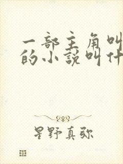 一部主角叫叶玄的小说叫什么