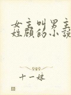 女主叫男主叔叔姓顾的小说