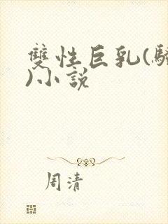 双性巨乳(骚受)小说