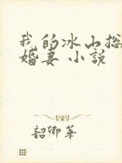 我的冰山总裁未婚妻 小说