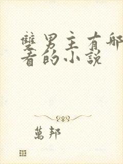 双男主有哪些好看的小说封面