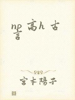 np 高h 古言