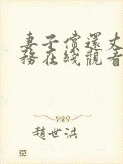 妻子偿还丈夫债务在线观看