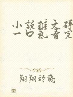 小说推文砰砰砰一口气看完