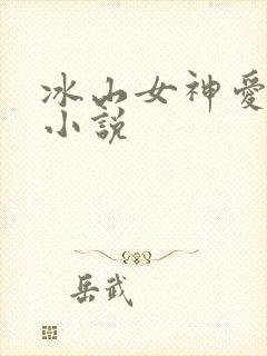冰山女神爱上我小说