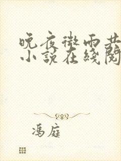 晚夜微雨共归途小说在线阅读