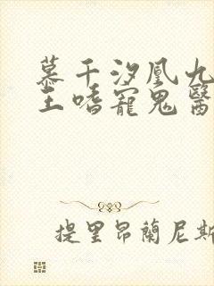 慕千汐凰九夜邪王嗜宠鬼医狂妃免费阅读封面