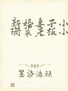 新婚妻子小说芷珊菜老板小说全文阅读