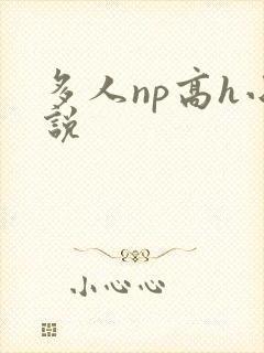 多人np高h小说封面
