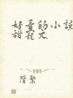 好看的小说言情甜宠文