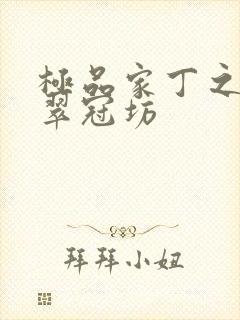 极品家丁之改编翠冠坊