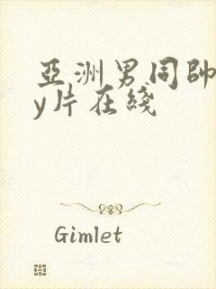 亚洲男同帅gay片在线封面