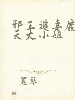 邪王追妻废材逆天大小姐封面