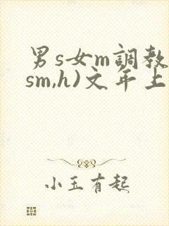 男s女m调教(sm,h)文年上