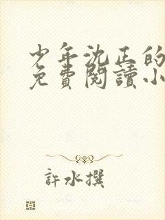 少年沈正的香艳免费阅读小说全文