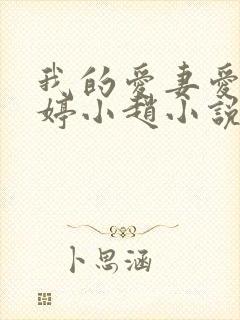 我的爱妻爱女小婷小赵小说免费阅读